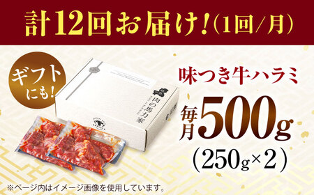 【12回定期便】【訳あり】味付けハラミ 500ｇ(250ｇ×2パック) [AVBO041]