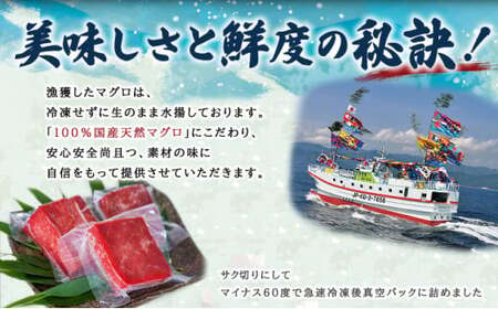 【数量限定】 厳選 天然 本マグロ 赤身 １ｋｇ以上 国産 マグロ 鮮魚 魚 刺身 刺し身 漬け丼 海鮮丼 おかず 魚介類 海鮮 海産物 まぐろ 本まぐろ 鮪 ブロック 1キロ 惣菜 冷凍 美阿丸 高知県 室戸市