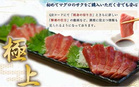 【数量限定】 厳選 天然 本マグロ 大トロ 1kg以上 国産 マグロ 鮮魚 魚 刺身 刺し身 漬け丼 海鮮丼 おかず 魚介類 海鮮 海産物 まぐろ 本まぐろ 鮪 ブロック  惣菜 冷凍 美阿丸 高知県 室戸市