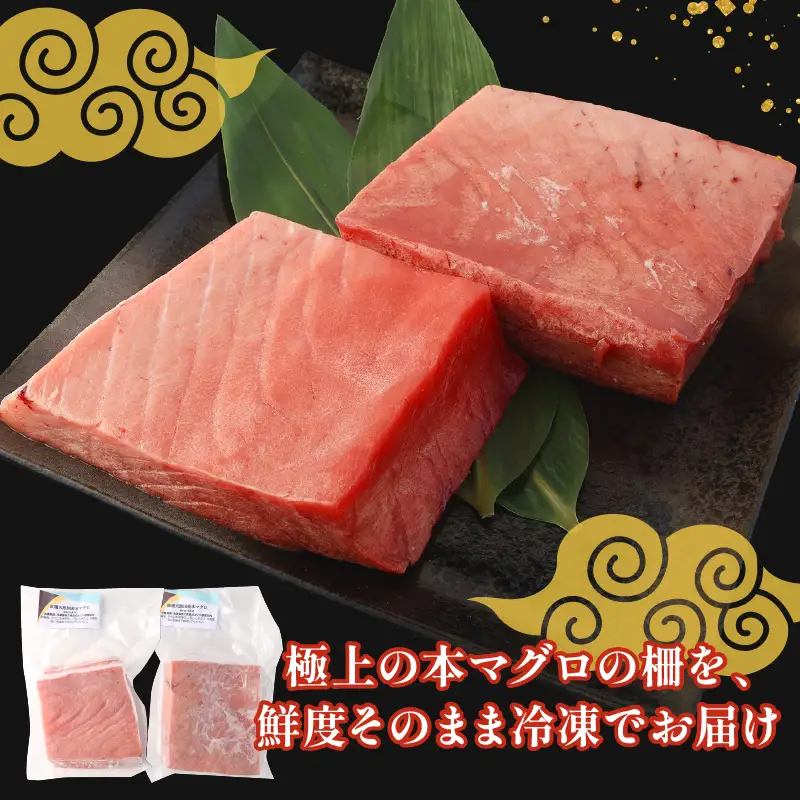 天然本マグロ 中トロ 大トロ 1kｇ本鮪 まぐろ 食べ比べ 国産鮪 天然鮪