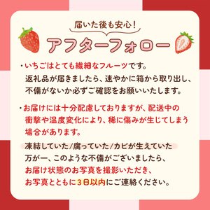 完熟 いちご 450g | いちご オーガニック ※2026年12月～発送