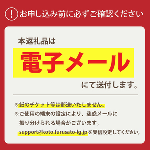 BBQ場施設使用券(電子クーポン券3,000円分) 【kt066-001】ﾁｹｯﾄ