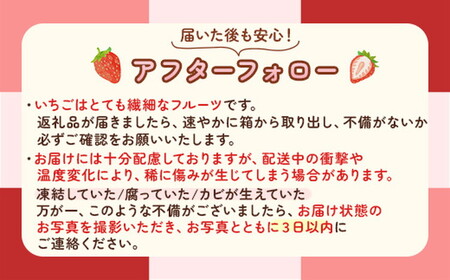 【定期便4ヶ月】完熟オーガニックとちあいか 9粒または12粒 ※2026年12月～発送
