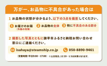 ※【2027年1月より順次発送／先行予約】伊木力温州みかん5kg(ご家庭用、箱入り) / 伊木力 温州みかん みかん ミカン 蜜柑 佐瀬 諫早 多良見 長崎 / 末永果樹園[AHBD003]