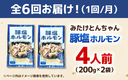 【6回定期便】岐阜県産豚もつの鉄板焼き「元祖みたけとんちゃん」豚塩味（4人前）[AVAA059]豚ホルモン 定期
