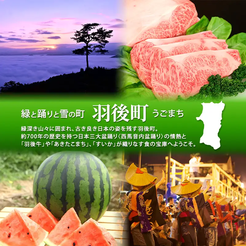 秋田県産 昔ながら 手作り お味噌 粒味噌 800g×2個 [ 米味噌 塩分控えめ 秋田県産 みそ 味噌 味噌汁 お味噌汁 ]