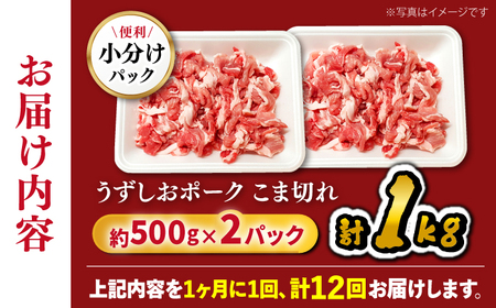 12回定期便 長崎うずしおポーク こま切れ 1kg CAG313 こま切れ 訳あり
