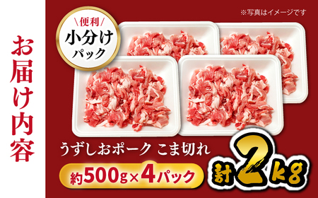 長崎うずしおポーク こま切れ 2kg CAG314 こま切れ 訳あり