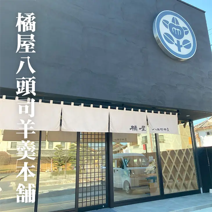 上本煉羊羹（中）2本セット しぐれ・あずき煉 280g×2 和菓子 小城羊羹 和菓子 B100-029
