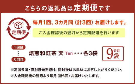 【3ヶ月定期便】　焙煎和紅茶 ～ Ten ～ 天 3個 セット 3回 計216g （72gx3回） 1回あたり72g （2gx12個入×3袋） 紅茶 和紅茶 ティーパック 国産 熊本県 水俣市