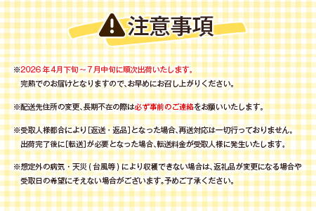 ＜数量限定＞宮崎県産 完熟マンゴー2L×3玉（計1kg以上）※2026年4月下旬配送開始 化粧箱入 フルーツ くだもの【D147】