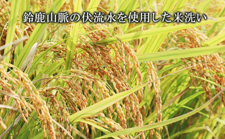長寿 金亀 大吟醸 2本セット (生原酒） 藍40、黒50 720ml×2本 岡村本家 地酒 滋賀 豊郷