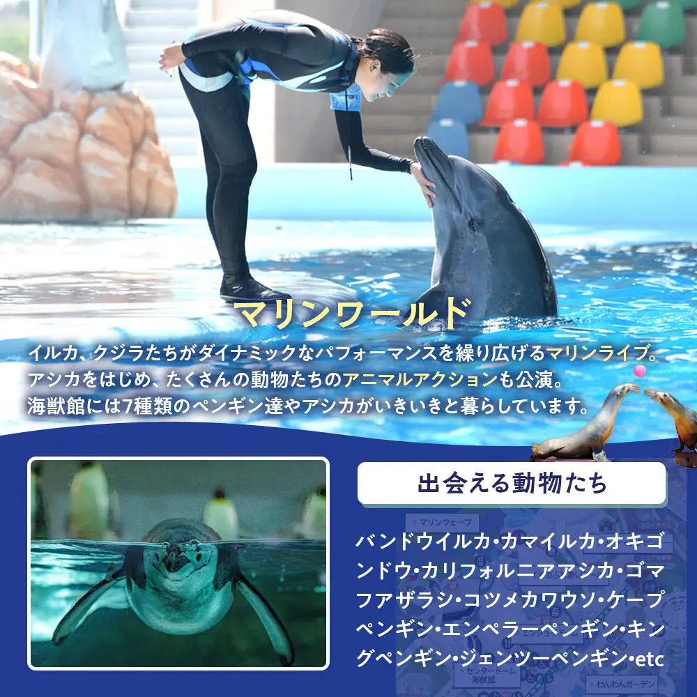 白浜町ふるさと納税 アドベンチャーワールド入園引換券 大人・子ども ペアチケット