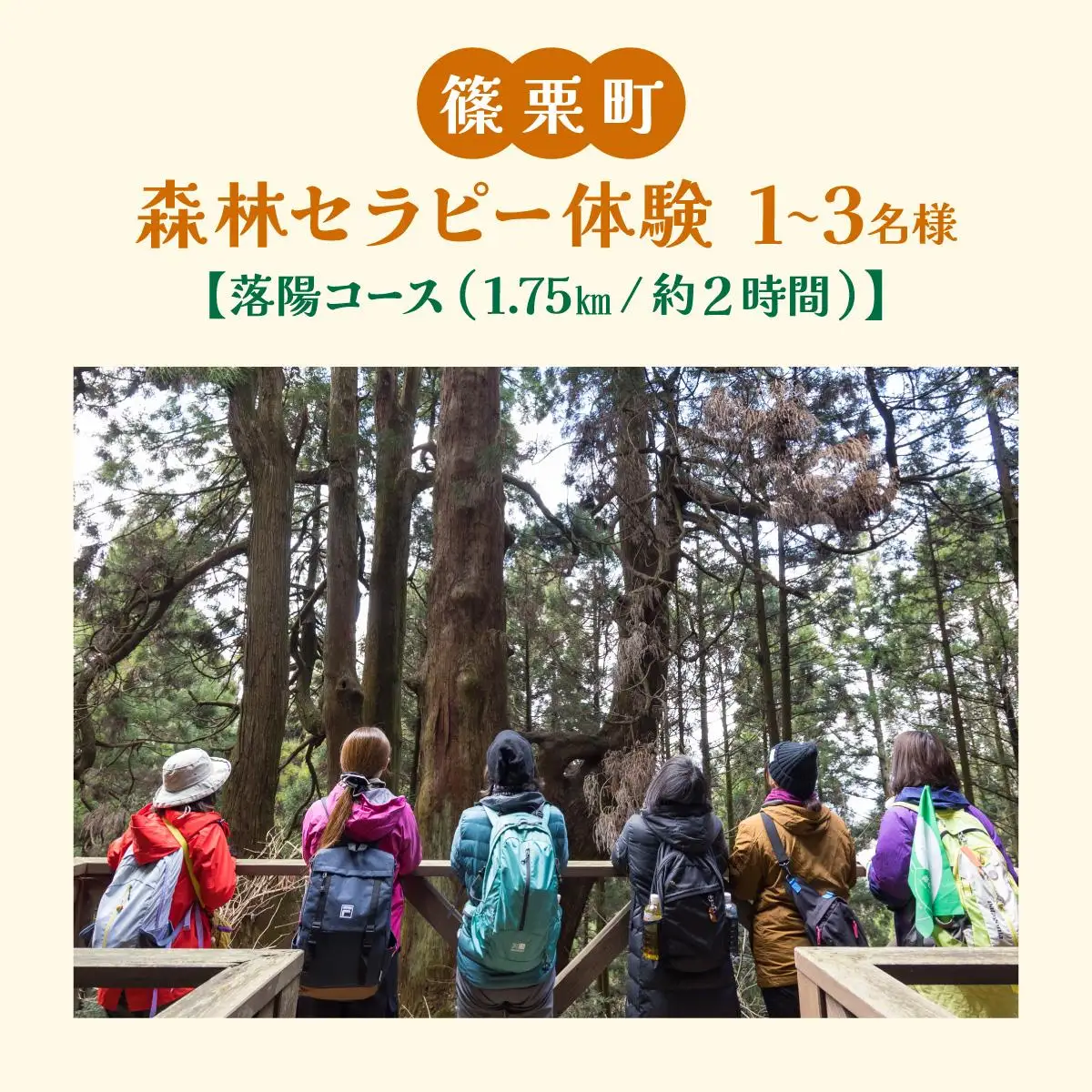 篠栗町森林セラピー体験1～3名様【落陽コース（1.75km/約2時間）】FZ004 