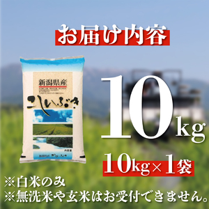 米 こしいぶき 10kg 【令和7年産 】 新潟県 新発田市 toushin039_02