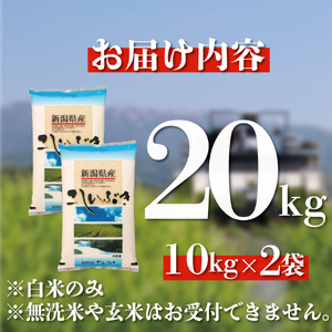 米 こしいぶき 20kg 【令和7年産 】 新潟県 新発田市 toushin040_02