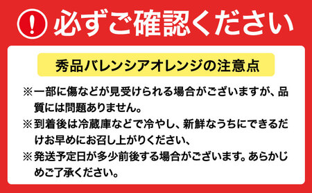 オレンジ【秀品】希少な国産バレンシアオレンジ 約2.5kg
