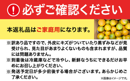 オレンジ【ご家庭用訳あり】希少な国産バレンシアオレンジ 約7kg