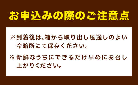 みかん 赤秀品 ハウスみかん 約2.5kg
