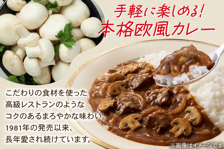 ハウス ククレカレー中辛＆カレーマルシェ中辛 各10個 [翔栄通商 愛知県 江南市 ko23btu570070]