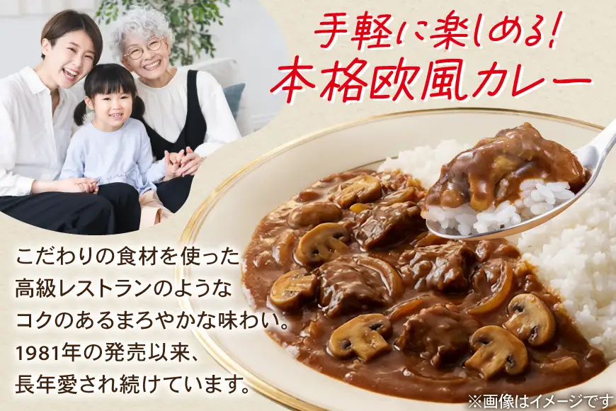 ハウス バーモントカレー中辛＆カレーマルシェ中辛 各10個 [翔栄通商 愛知県 江南市 ko23btu570067]