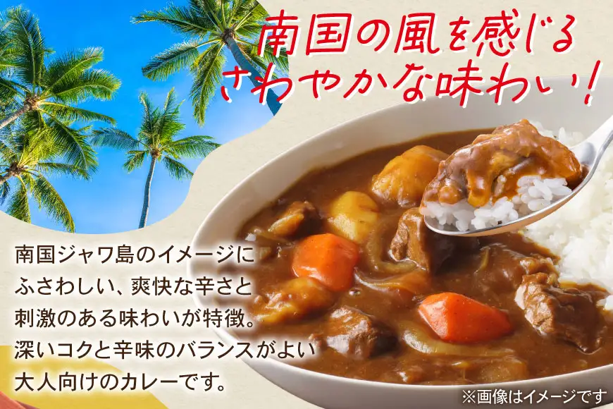ハウス カレーマルシェ中辛 180g 10個 ＆ ジャワカレー中辛 200g 10個  計20個 セット [翔栄通商 愛知県 江南市 ko23btu570048]