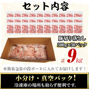 豚肉 切り落し 9kg 【工場直送 業務用】 九州産豚切り落とし＜計9kg(300g×30P)＞ 肉 国産 豚肉 切り落とし 国産 九州産 小分け 真空パック しゃぶしゃぶ c0-137