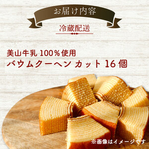 バウムクーヘン 南丹市「美山牛乳」100%使用 【南丹市×綾部市共同開発】 16個