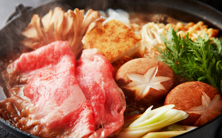 飛騨牛ロース・肩ロース すきやき・しゃぶしゃぶ用400g 飛騨牛 すき焼き しゃぶしゃぶ[ANBE021]