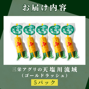【A7124】朝採りレトルトスイートコーン ゴールドラッシュ (5パック) ゴールドラッシュ 北海道産 北海道 士別市 とうもろこし トウモロコシ とうきび 【三栄アグリ】
