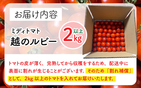 甘くて皮が薄く食べやすい　福井市産ミディトマト『越のルビー』2kg以上 [A-180003]/ 福井市産 農家直送 とまと トマト フルーツトマト ミニトマト 野菜 やさい 新鮮 産地直送 甘い 完熟 リコピン ビタミン