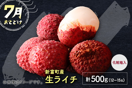 サマーフルーツ定期便 全3回＜メロン・マンゴー・ライチ＞ ※2026年5月開始 旬 果物【E244】