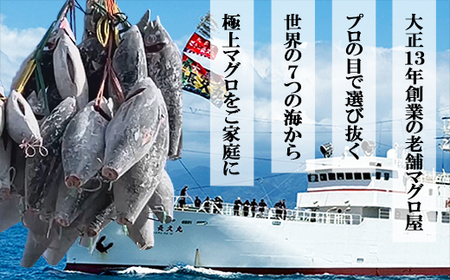 ネギトロスティック ネギトロ芯 (まぐろたたき) １ｋｇ (１００g × ５本 × ２袋) セット小分け 天然まぐろ ネギトロ ねぎとろ ネギトロ丼 手巻き寿司 軍艦 寿司 まぐろたたき 天然 まぐろ マグロ 冷凍 魚介 海鮮 トロ 鮪 人気 返礼品 三重県 尾鷲市 CH-114
