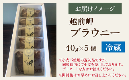 越前岬ブラウニー　[A-071001] チョコレート チョコ 洋菓子 濃厚 ブラウニー 米粉 酒蔵田辺酒造 酒粕 バレンタインデー ホワイトデー 福井県 永平寺 ギフト プレゼント 箱