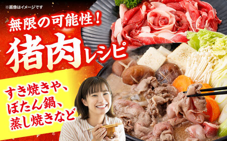 猪肉 切り落とし 2kg 雲仙いのしし モモ ウデ / 肉 イノシシ ジビエ いのしし 焼肉 ぼたん鍋 切り落とし / 南島原市 / もりのめぐみ[SDB016]