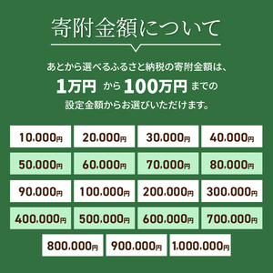 あとからセレクト【ふるさとギフト】６０万円