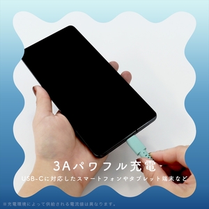 グラデーションケーブル USB-A to USB-C iPhone16e 16 15 Android各種 急速充電 データ転送対応 ケーブルバンド付 1m 2年保証  (MOT-SCBACG100-MD） マーメイド【 ケーブル ガジェット 海老名市 】
