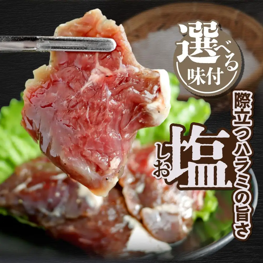牛ハラミ 塩漬けダレ 1.2kg (400g×3pc) a163-010