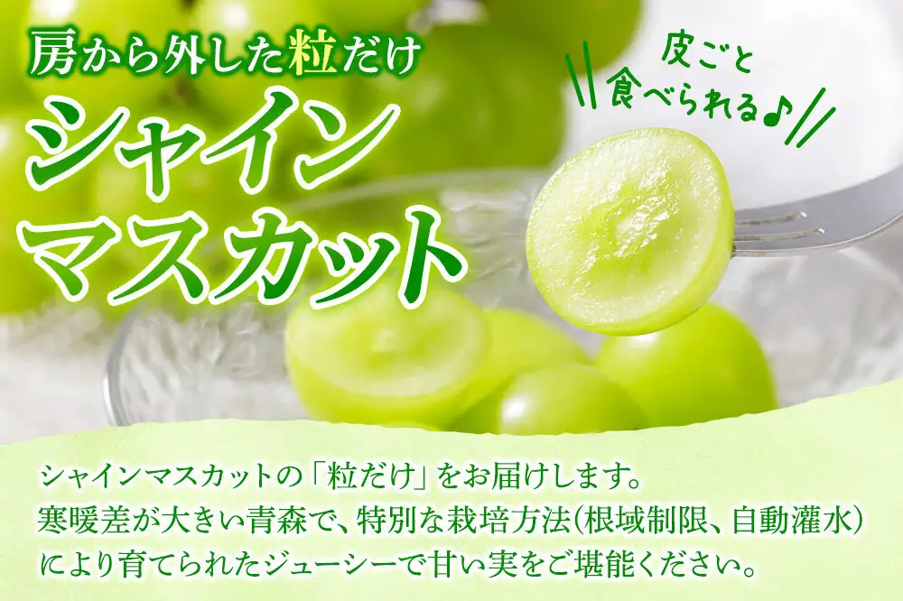 【26年9月～発送】【訳あり】 房から外した粒だけシャインマスカット1kg（500g×2パック） ぶどう フルーツ 果物 ブドウ 葡萄 グレープ くだもの 産地直送
