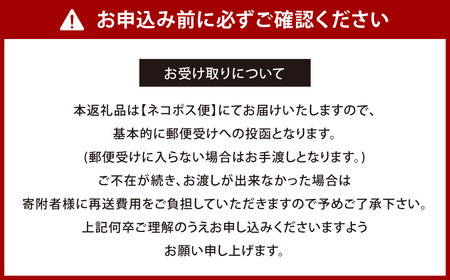 北九州市の地図情報会社のゼンリンが作る地図柄文具 5種 セット （北九州市） ぽち袋 一筆箋 レターセット ポストカード 紙袋 地図柄 地図柄文具 マップデザイン