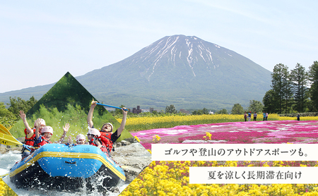 北海道 倶知安町 宿泊 利用 クーポン 【10万円分】チケット 旅行 ホテル パークハイアット ニセコ HANAZONO Panorama Niseko AYA Villas 他 リゾート コンドミニアム コテージ ヴィラ 券 宿泊券 観光 高級 宿 体験 長期滞在 旅 