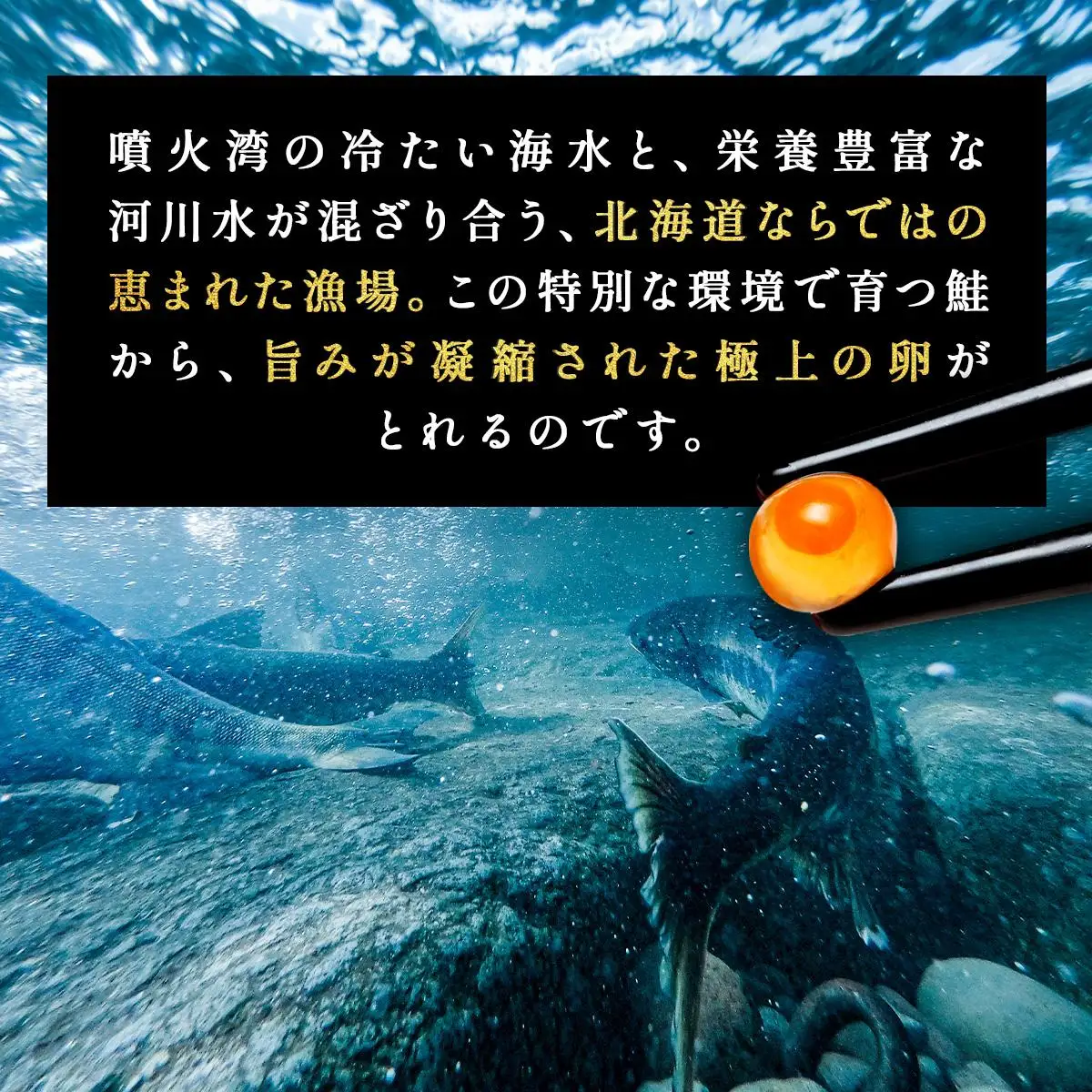 イクラの醬油漬け 400g(200g×2パック) ogm-012