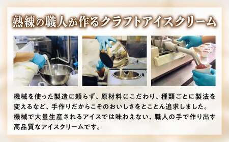 パフェアイス 24個セット_B032-1445-14