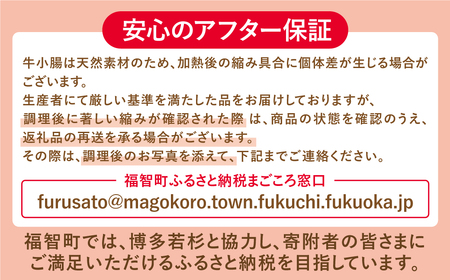 Y61-12 博多若杉 【訳あり】牛もつ鍋セット(2人前×10)  20人前 大容量 もつ鍋