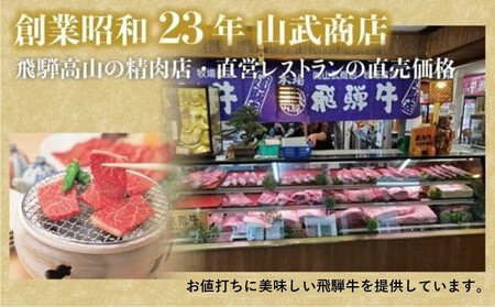 飛騨牛食べ比べセット（すき焼き・焼肉用）定期便【2月・5月・8月・11月発送】 | 定期便 セット 肉 お取り寄せ ギフト山武商店 LZ101
