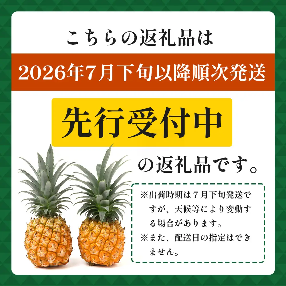 【先行受付】パイナップル/ボゴール種 (約800g×2玉) ≪2026年7月下旬以降順次発送≫ DS-004 ｜パイン パイナップル パインアップル フルーツ ボゴールパイン スナックパイン 産地直送 送料無料 鹿児島県 南大隅町 株式会社デラセーラ