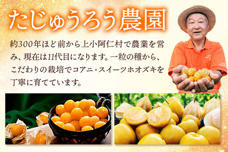 《冷凍》コアニ・スイーツホオズキ 500g ほおずき ゴールデンベリー スーパーフード たじゅうろう農園