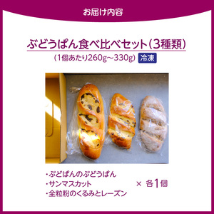 ぶどうぱん食べ比べセット（3本） _ ぶどうぱん 専門店 ぶどぱん 食べ比べ 3本 ぶどぱんのぶどうぱん サンマスカット 全粒粉のくるみとレーズン しっとり もっちり 食パン生地 トースト 冷凍保存 お取り寄せ 福岡県 久留米市 送料無料  〔Cx242-03〕