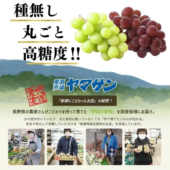 【2026年先行予約】シャインマスカット ＆ クイーンルージュ® 詰め合わせ セット  計約1kg（2~3房）※最低900g以上｜ ぶどう ぶどう