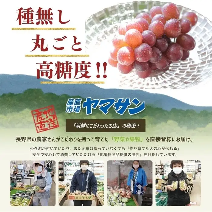 【2026年先行予約】クイーンルージュ® 約2kg（4~6房）※最低1.8kg以上｜ ぶどう ぶどう